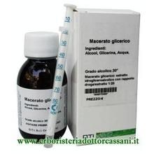 Macerato Glicerico di MIRTILLO NERO (Vaccinium Myrtillus) 100ml