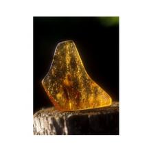 Gem Elisir - AMBER (Ambra): Essenze di cristalli e pietre preziose di Ricerca