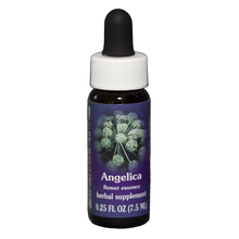 ESSENZA CALIFORNIANA Angelica (Angelica archangelica) 7.5 ml