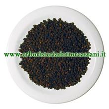PIANTA OFFICINALE Senape nera semi polvere (Brassica nigra (L.) Koch) 500 gr
