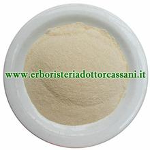 PIANTA OFFICINALE Fagiolo baccello polvere (Phaseolus vulgaris L.) 500 grammi