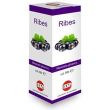 Kos Ribes Nigrum Macerato Glicerico 100 ml