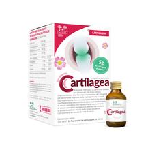 Salugea Cartilagea 18 flaconcini da 12 ml