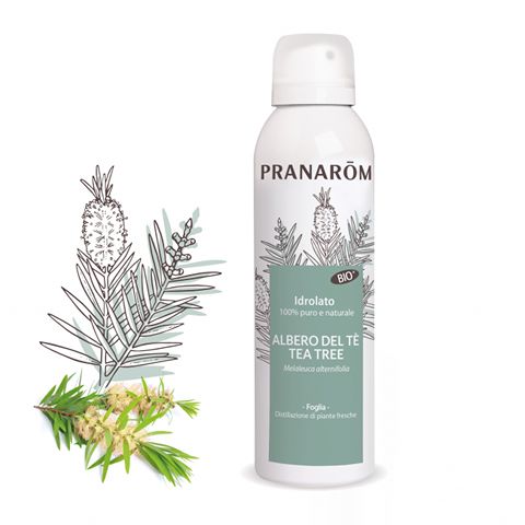 Pranarom Idrolato Albero del tè Tea Tree - 150 ml - Bio