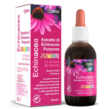 ECHINACEA ESTRATTO No Alcool 50 ml 