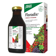 Salus FLORADIX Ferro e Vitamine Linfa D'Erbe 250 ml.